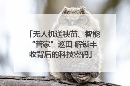 无人机送秧苗、智能“管家”巡田 解锁丰收背后的科技密码