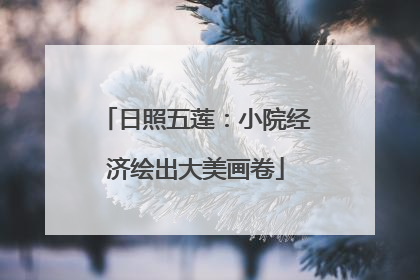 日照五莲：小院经济绘出大美画卷