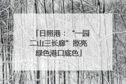 日照港：“一园二山三长廊”擦亮绿色港口底色