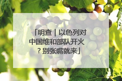 明查｜以色列对中国维和部队开火？别张嘴就来