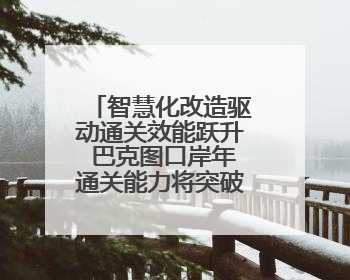 智慧化改造驱动通关效能跃升 巴克图口岸年通关能力将突破300万吨