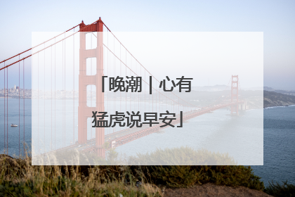 晚潮｜心有猛虎说早安
