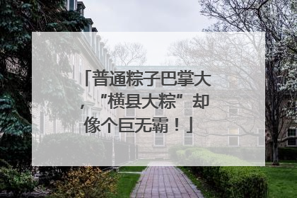 普通粽子巴掌大，“横县大粽”却像个巨无霸！