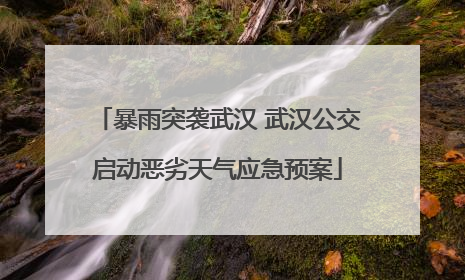 暴雨突袭武汉 武汉公交启动恶劣天气应急预案