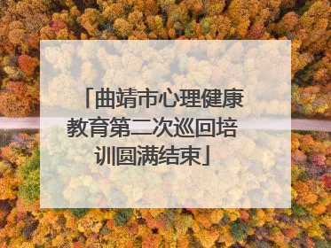 曲靖市心理健康教育第二次巡回培训圆满结束