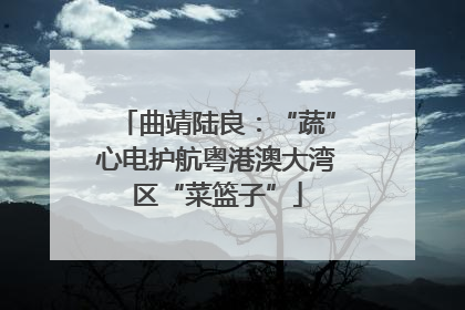 曲靖陆良：“蔬”心电护航粤港澳大湾区“菜篮子”