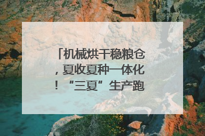 机械烘干稳粮仓，夏收夏种一体化！“三夏”生产跑出加速度｜麦报