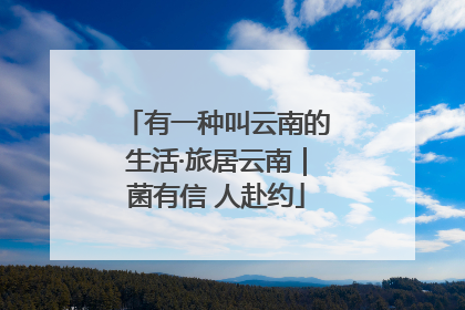 有一种叫云南的生活·旅居云南｜菌有信 人赴约