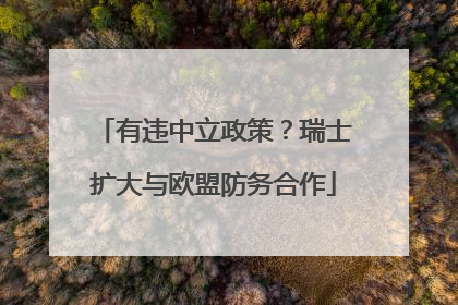 有违中立政策？瑞士扩大与欧盟防务合作