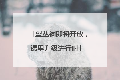 望丛祠即将开放，锦里升级进行时