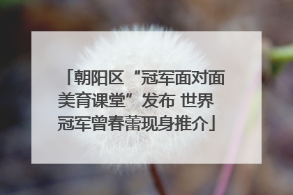 朝阳区“冠军面对面美育课堂”发布 世界冠军曾春蕾现身推介