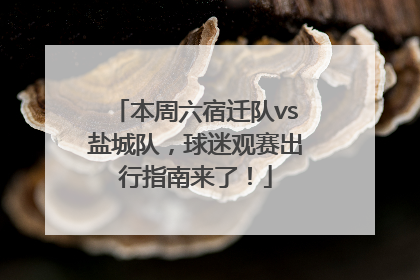 本周六宿迁队vs盐城队，球迷观赛出行指南来了！