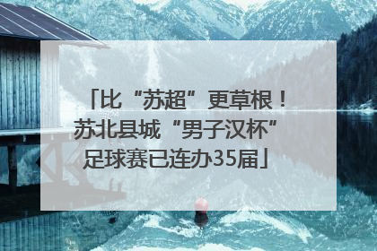 比“苏超”更草根！苏北县城“男子汉杯”足球赛已连办35届