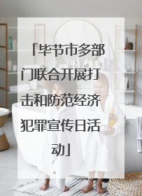 毕节市多部门联合开展打击和防范经济犯罪宣传日活动