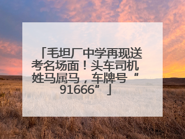 毛坦厂中学再现送考名场面！头车司机姓马属马，车牌号“91666”