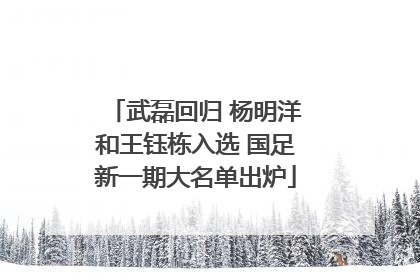 武磊回归 杨明洋和王钰栋入选 国足新一期大名单出炉