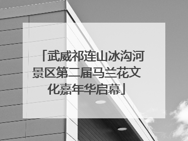 武威祁连山冰沟河景区第二届马兰花文化嘉年华启幕