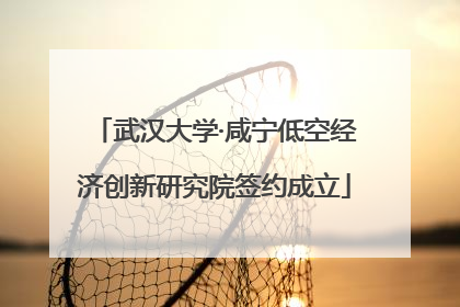 武汉大学·咸宁低空经济创新研究院签约成立
