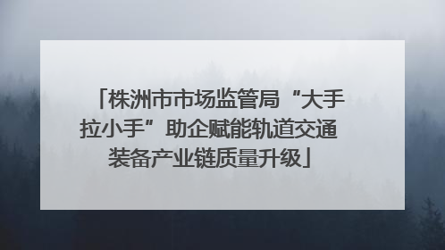 株洲市市场监管局“大手拉小手”助企赋能轨道交通装备产业链质量升级