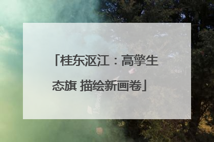 桂东沤江：高擎生态旗 描绘新画卷
