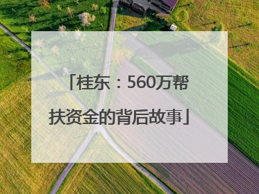 桂东：560万帮扶资金的背后故事