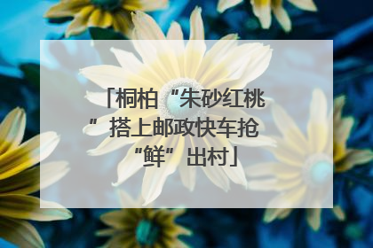桐柏“朱砂红桃”搭上邮政快车抢“鲜”出村