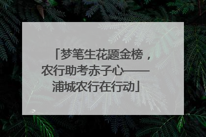 梦笔生花题金榜，农行助考赤子心——浦城农行在行动