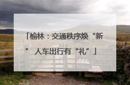 榆林：交通秩序焕“新” 人车出行有“礼”