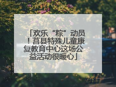 欢乐“粽”动员！莒县特殊儿童康复教育中心这场公益活动很暖心