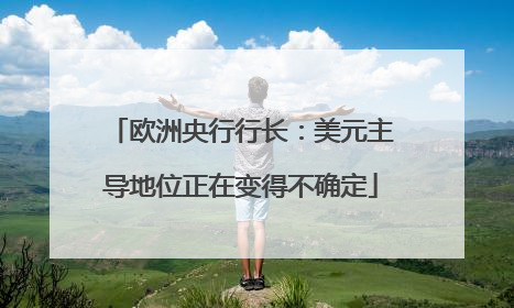 欧洲央行行长：美元主导地位正在变得不确定