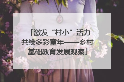 激发“村小”活力 共绘多彩童年——乡村基础教育发展观察
