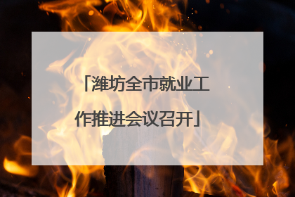 潍坊全市就业工作推进会议召开