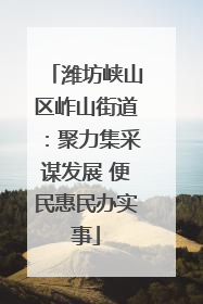 潍坊峡山区岞山街道：聚力集采谋发展 便民惠民办实事