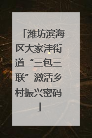潍坊滨海区大家洼街道“三包三联”激活乡村振兴密码