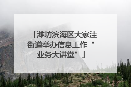 潍坊滨海区大家洼街道举办信息工作“业务大讲堂”