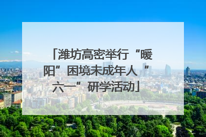 潍坊高密举行“暖阳”困境未成年人“六一”研学活动