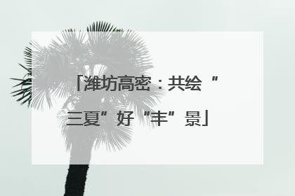 潍坊高密：共绘“三夏”好“丰”景