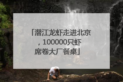 潜江龙虾走进北京，100000只虾席卷大厂餐桌