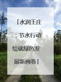 水润王庄：节水行动绘就绿色发展新画卷