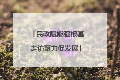 民政赋能强根基 走访聚力促发展