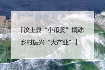 汶上县“小瓜蒌”撬动乡村振兴“大产业”
