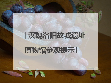 汉魏洛阳故城遗址博物馆参观提示