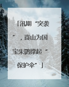 汛期“突袭”，崀山为国宝朱鹮撑起“保护伞”