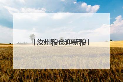 汝州粮仓迎新粮