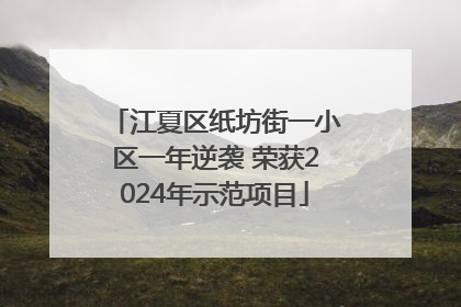 江夏区纸坊街一小区一年逆袭 荣获2024年示范项目