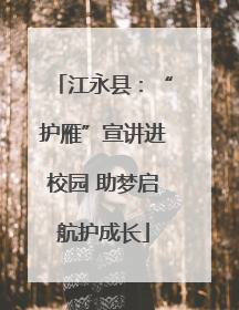 江永县：“护雁”宣讲进校园 助梦启航护成长