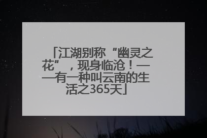 江湖别称“幽灵之花”，现身临沧！——有一种叫云南的生活之365天