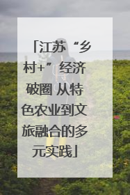 江苏“乡村+”经济破圈 从特色农业到文旅融合的多元实践