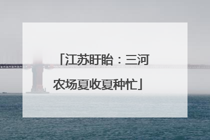 江苏盱眙：三河农场夏收夏种忙
