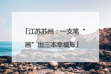 江苏苏州：一支笔“画”出三本幸福账